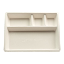 ANAESTHETIC TRAY COMPOSTABLE (05-302NS)    CTN/100