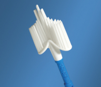 ROVERS CERVEX  BRUSH     MINI BOX   PACK/25