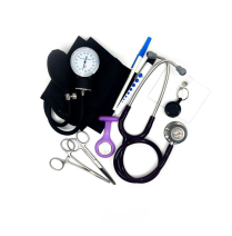 NURSE SKILLS KIT LITTMANN STETH PLUM