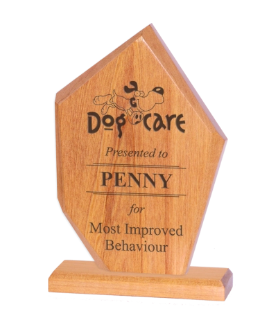 Solid Wood Award