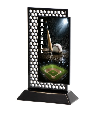 Acrylic Printed Hex Baseball BK