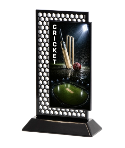Acrylic Printed Hex Cricket BK