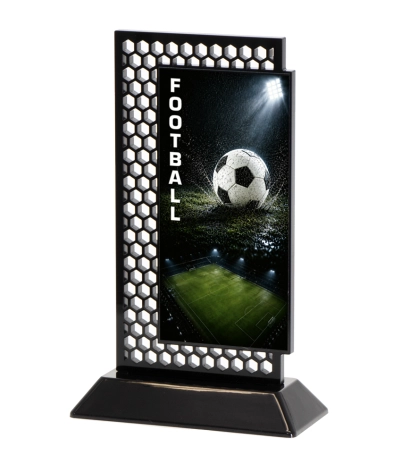 Acrylic Printed Hex Football BK