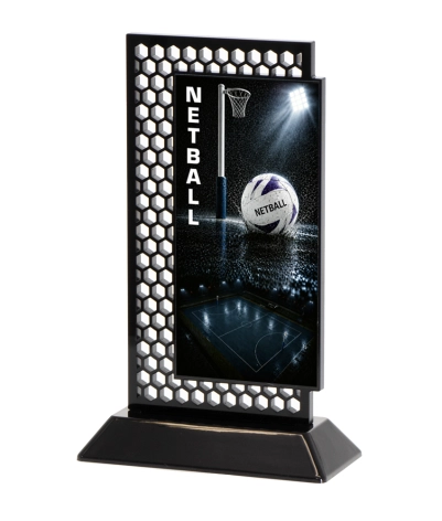 Acrylic Printed Hex Netball BK