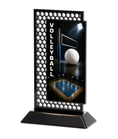 Acrylic Printed Hex Volleyball BK