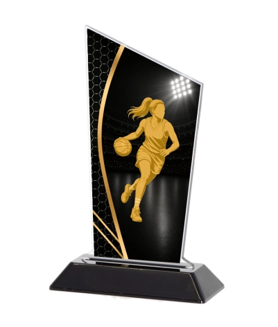 Acrylic Printed Player Basketball F