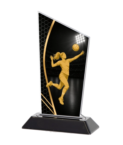 Acrylic Printed Player Vollyball F