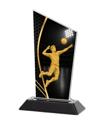 Acrylic Printed Player Vollyball M