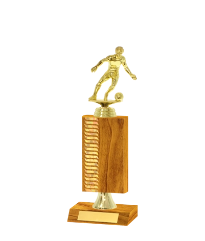 Wave Pattern Trophy