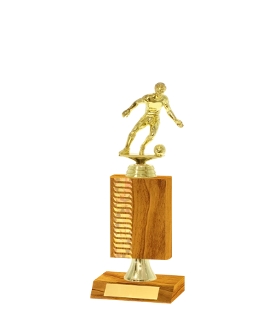 Wave Pattern Trophy
