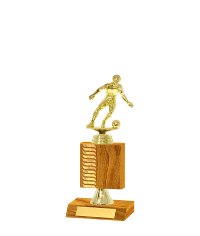 Wave Pattern Trophy