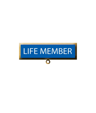 Metal Badge