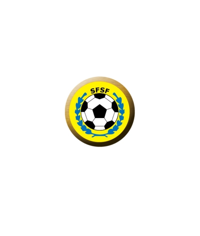 Metal Badge