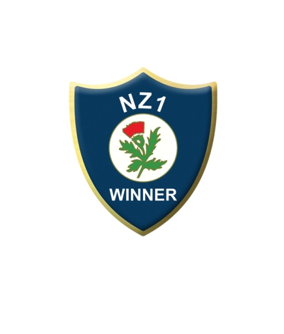 Metal Badge
