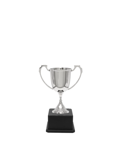 Sports Nickel Cup