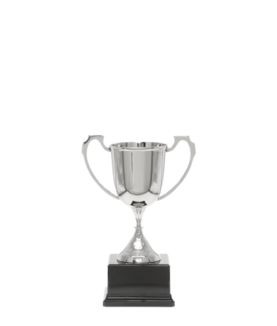 Sports Nickel Cup