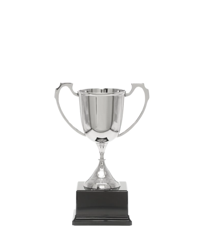 Sports Nickel Cup