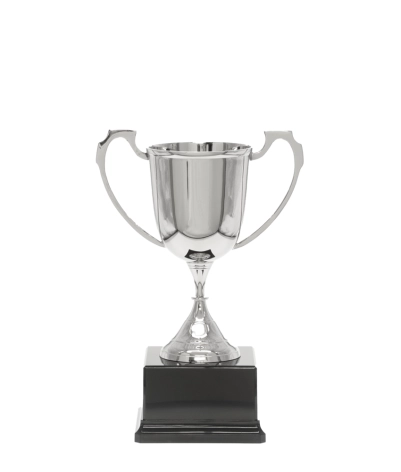 Sports Nickel Cup