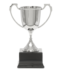 Sports Nickel Cup