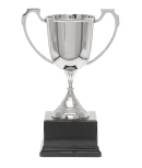 Sports Nickel Cup