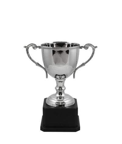 Norfolk Nickel Cup