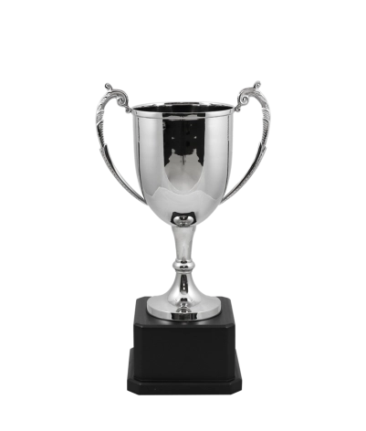 Sussex Nickel Cup
