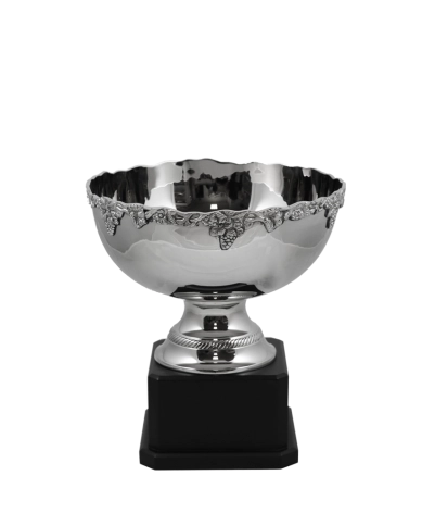 Newport Nickel Cup