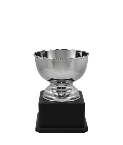 Richmond Nickel Cup
