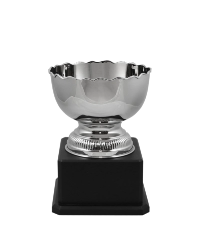 Richmond Nickel Cup