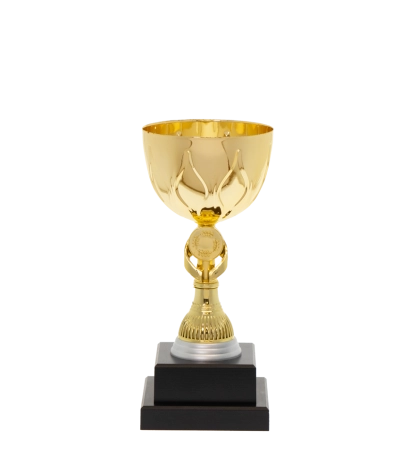 Euro Cup - Rome