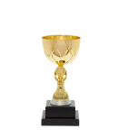 Euro Cup - Rome