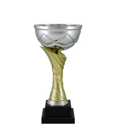 Euro Cup - Milan