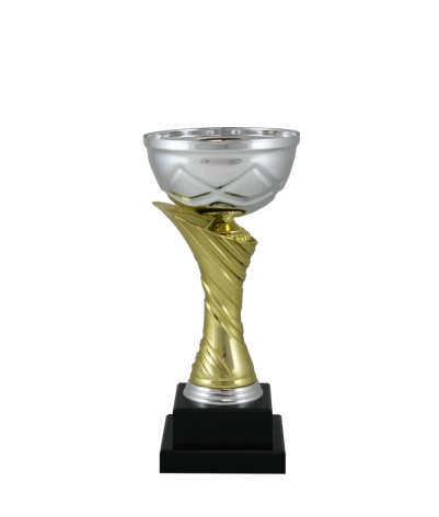 Euro Cup - Milan