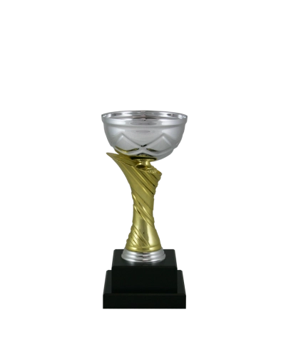 Euro Cup - Milan
