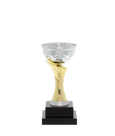 Euro Cup - Milan
