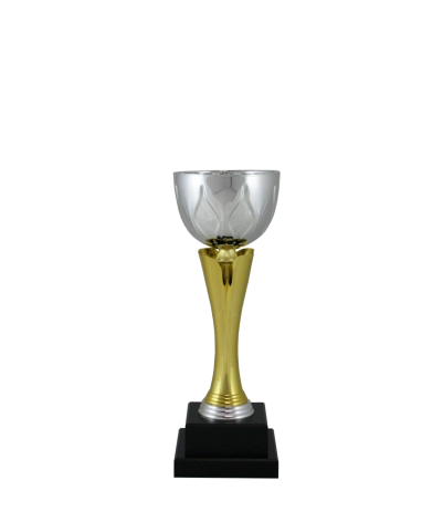 Euro Cup - Naples