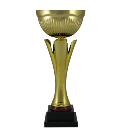 Euro Cup - Florence