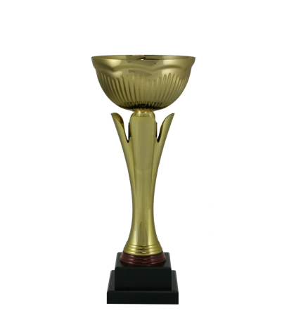 Euro Cup - Florence