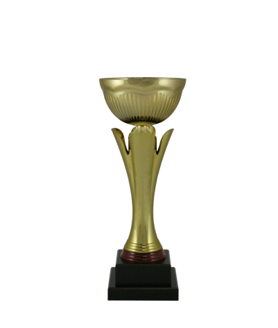Euro Cup - Florence