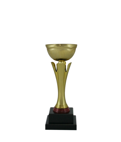 Euro Cup - Florence