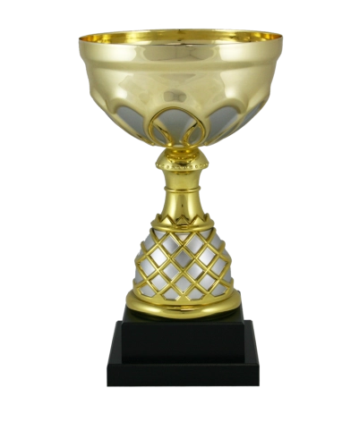Euro Cup - Venice