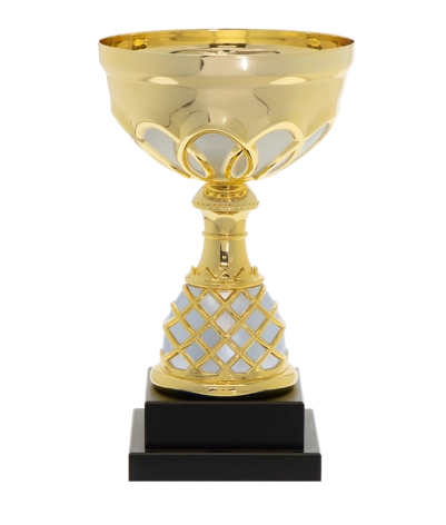 Euro Cup - Venice