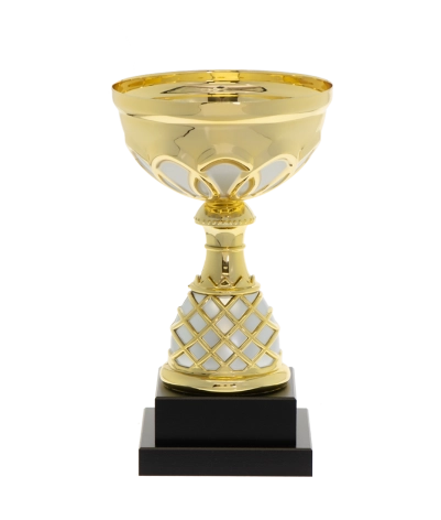 Euro Cup - Venice
