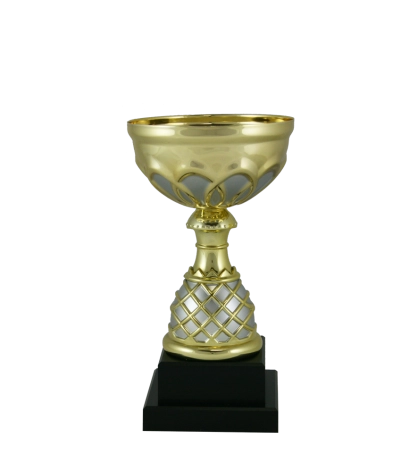 Euro Cup - Venice