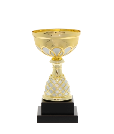 Euro Cup - Venice