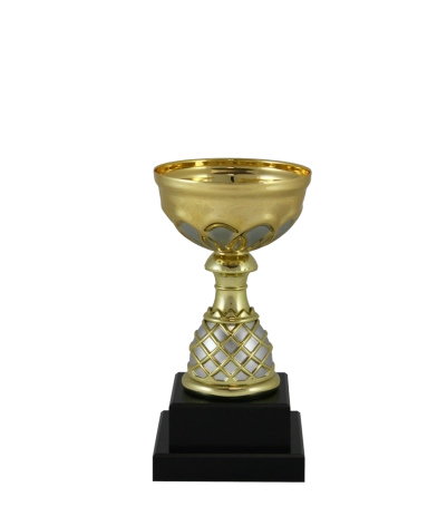 Euro Cup - Venice