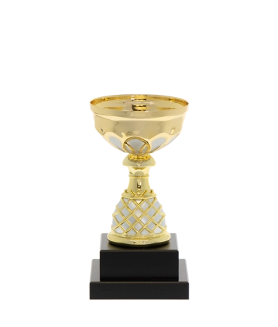 Euro Cup - Venice