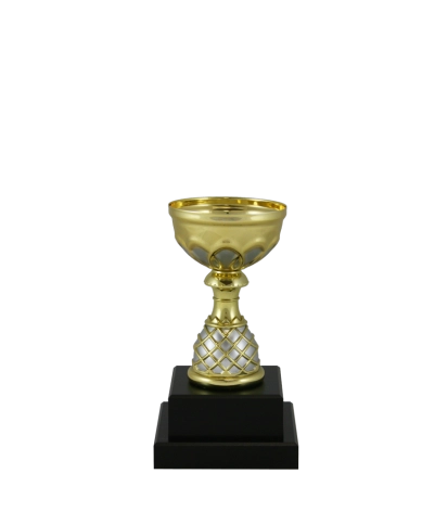 Euro Cup - Venice