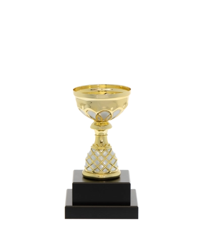 Euro Cup - Venice