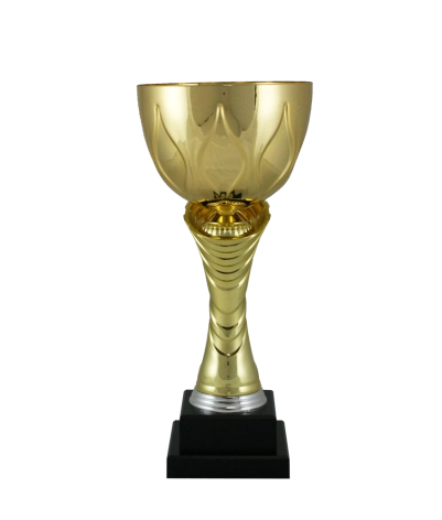 Euro Cup - Modena